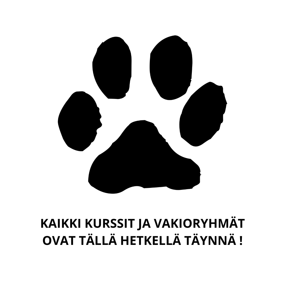 KURSSIT JA VAKIORYHMÄT